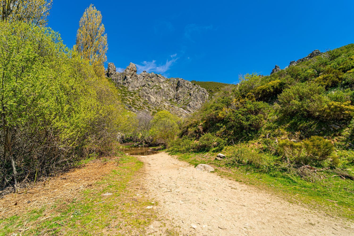 House / detached house en alquiler, Somosierra