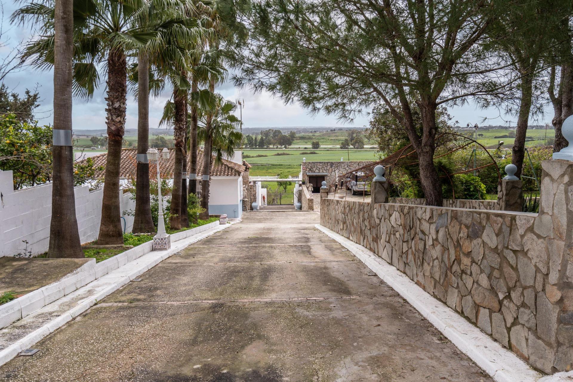 50-87 CORTIJO ANDALUZ CON VARIAS EDIFICACIONES, PISCINA Y 8.000 M² DE TERRENO EN CHICLANA DE LA FRONTERA E
