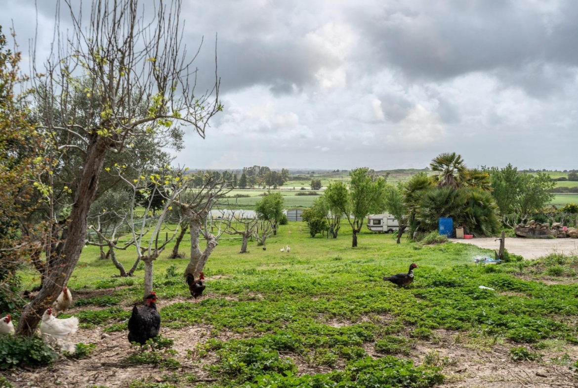 CORTIJO ANDALUZ CON VARIAS EDIFICACIONES, PISCINA Y 8.000 M² DE TERRENO EN CHICLANA DE LA FRONTERA E