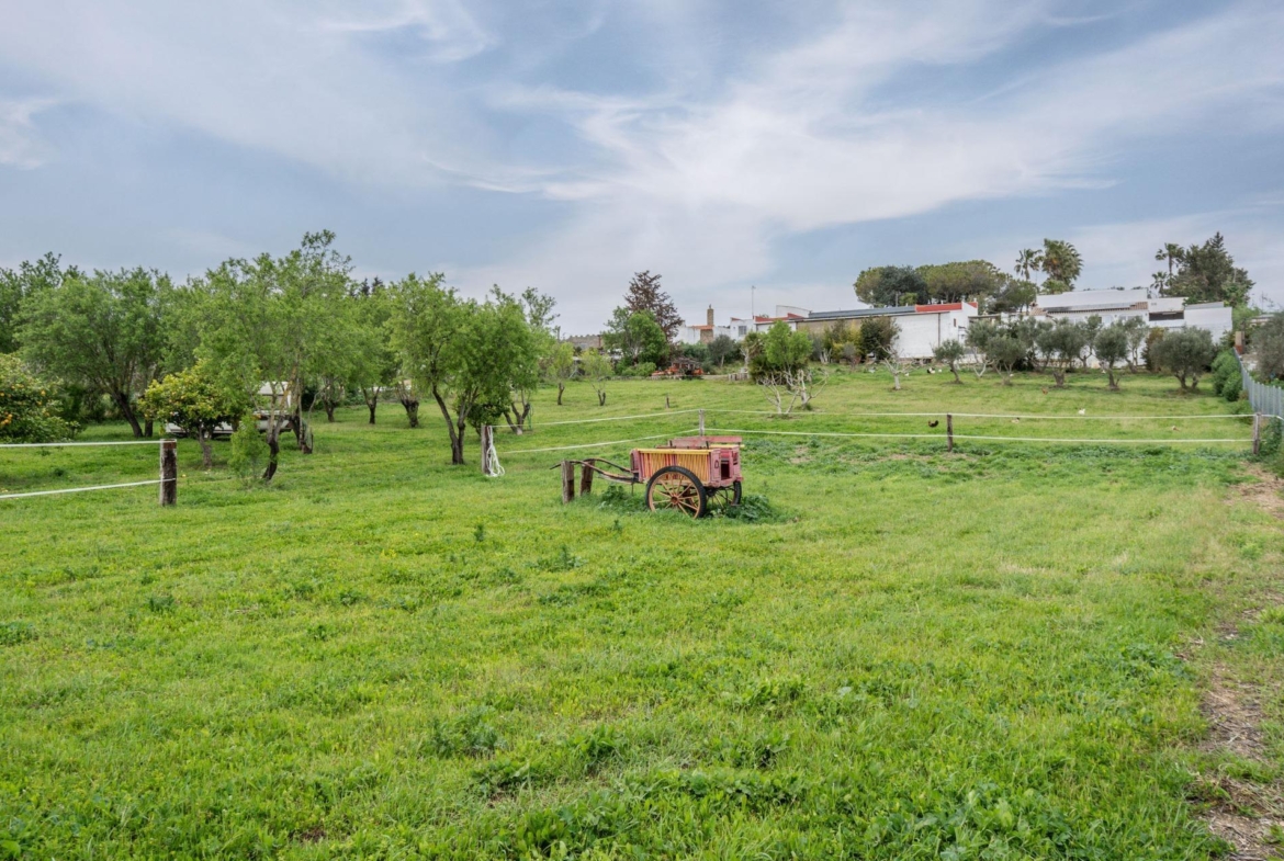 CORTIJO ANDALUZ CON VARIAS EDIFICACIONES, PISCINA Y 8.000 M² DE TERRENO EN CHICLANA DE LA FRONTERA E