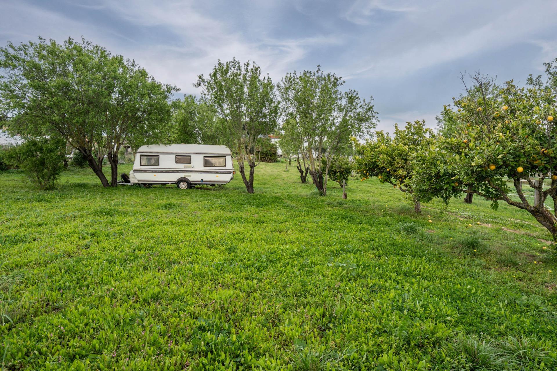 50-93 CORTIJO ANDALUZ CON VARIAS EDIFICACIONES, PISCINA Y 8.000 M² DE TERRENO EN CHICLANA DE LA FRONTERA E