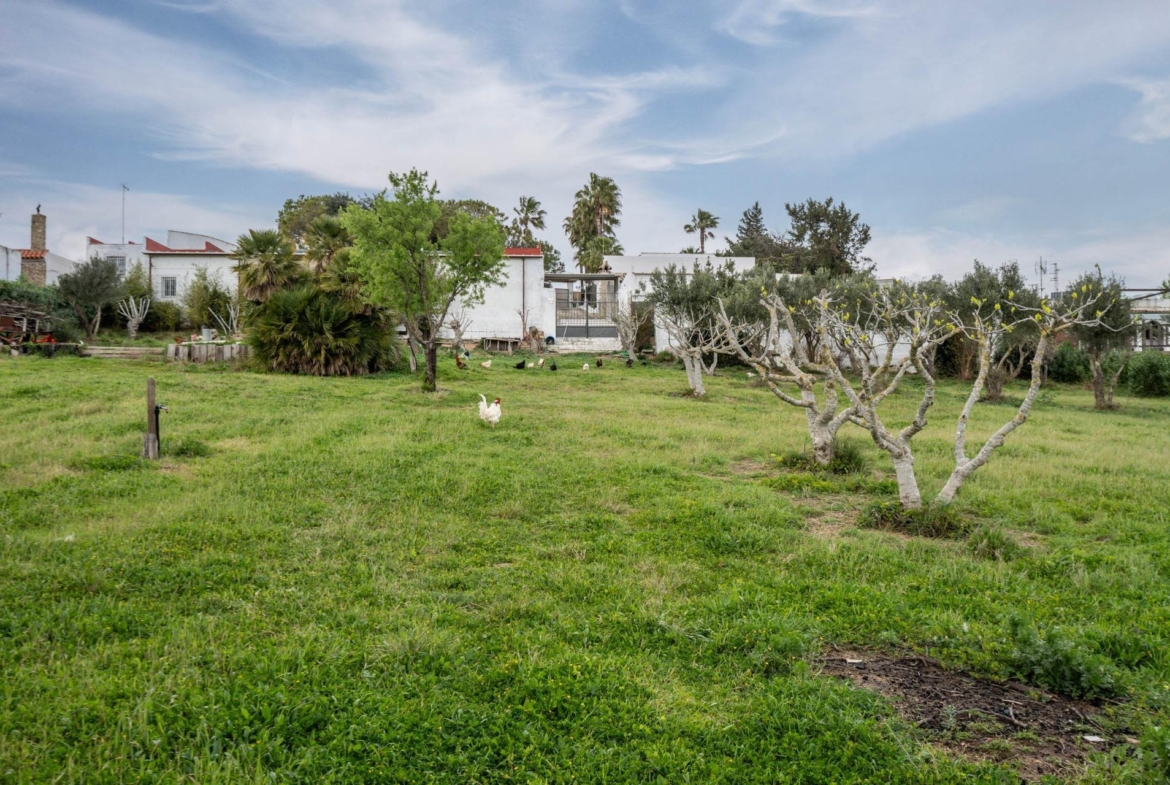 CORTIJO ANDALUZ CON VARIAS EDIFICACIONES, PISCINA Y 8.000 M² DE TERRENO EN CHICLANA DE LA FRONTERA E