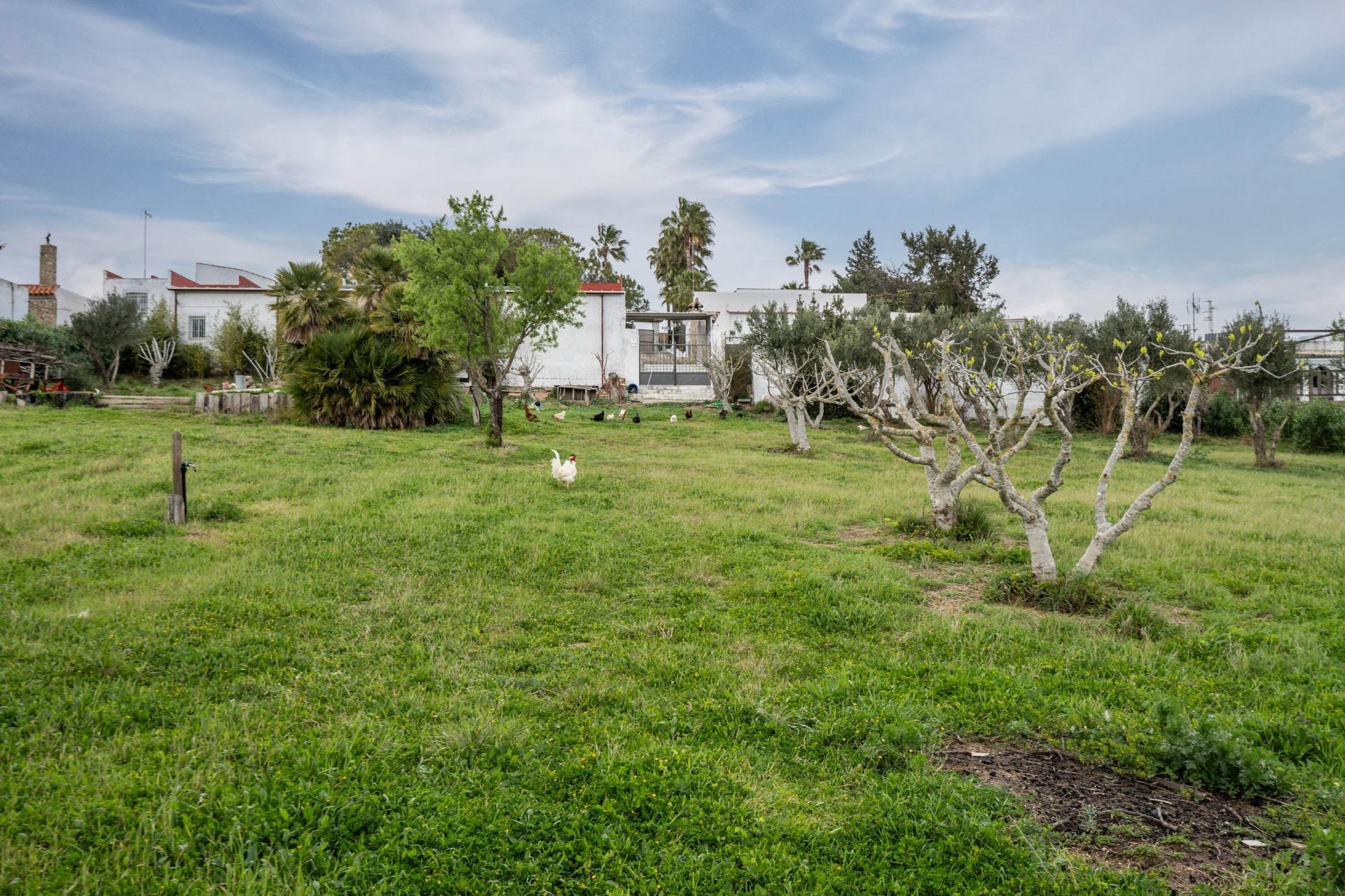 50-94 CORTIJO ANDALUZ CON VARIAS EDIFICACIONES, PISCINA Y 8.000 M² DE TERRENO EN CHICLANA DE LA FRONTERA E