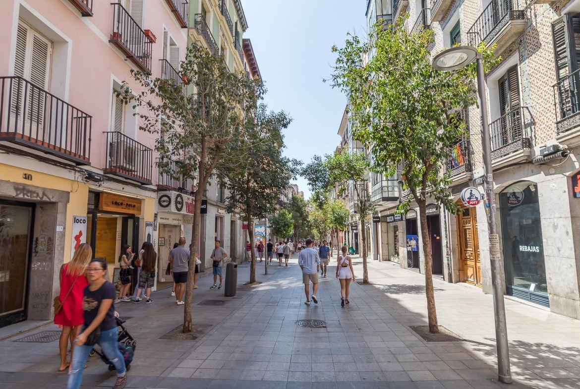Apartamento Calle Fuencarral.