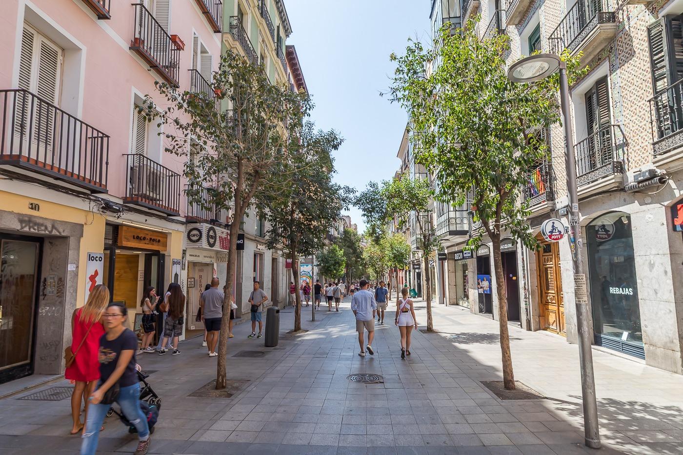 11-35 Apartamento Calle Fuencarral.