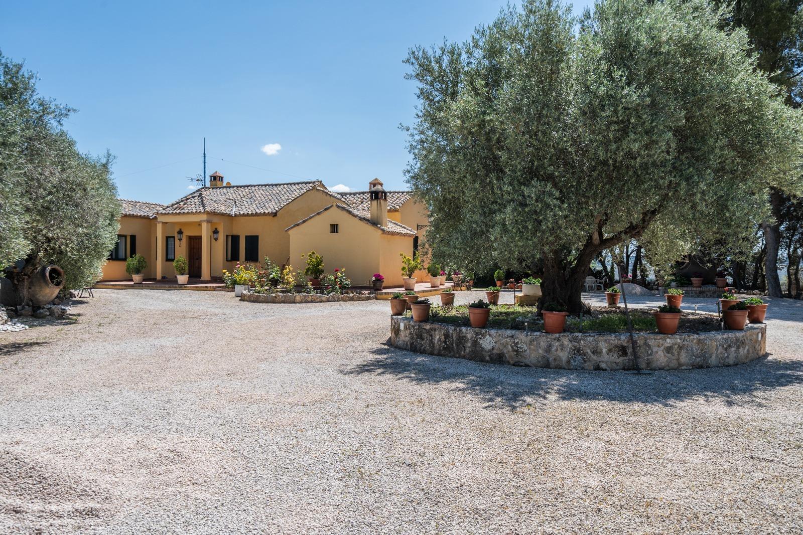 ^^ EN VENTA EXCLUSIVA – IMPRESIONANTE FINCA DE 4 HECTÁREAS EN VALGRANDE, CHINCHÓN ^**^  Ponemos a la