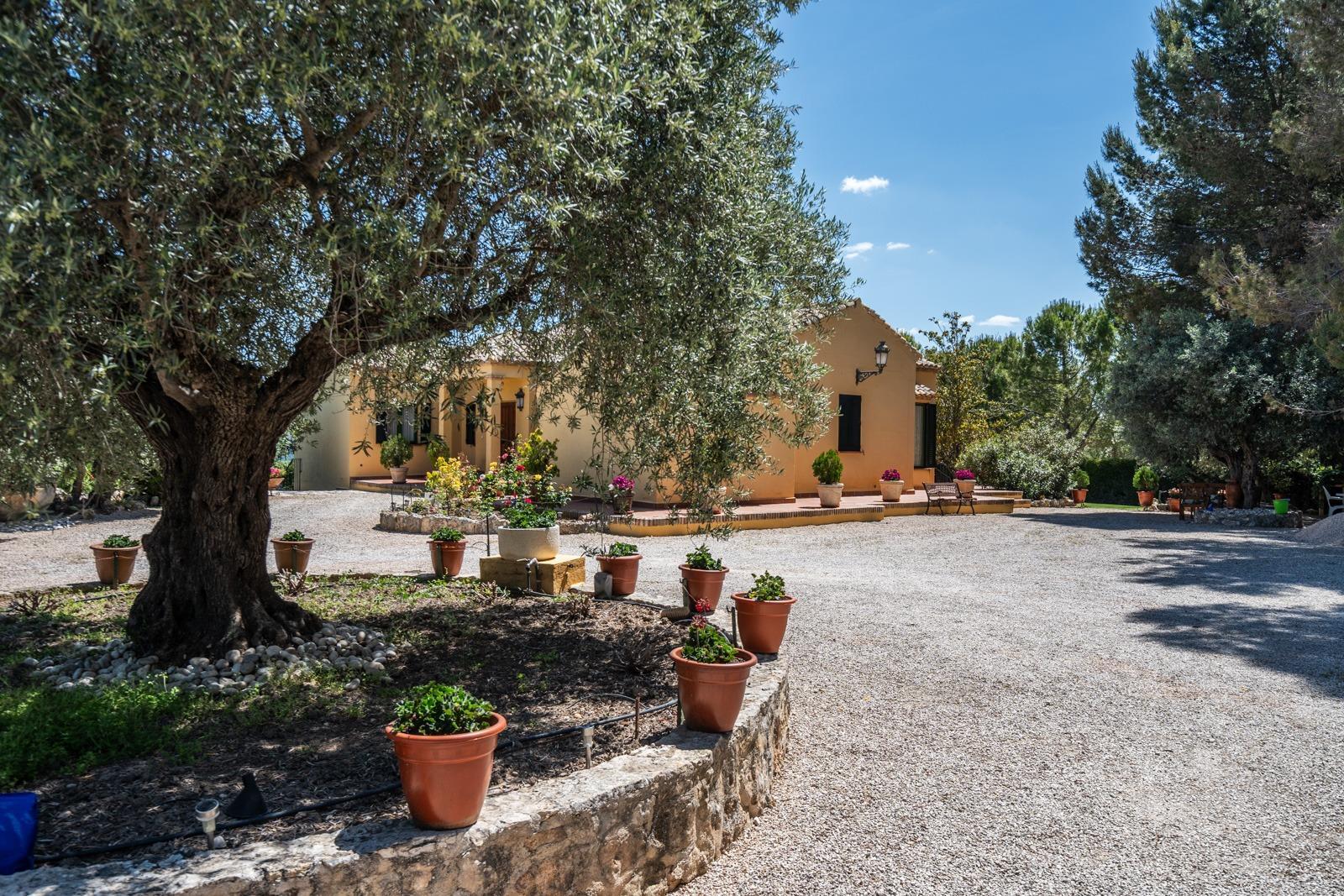 ^^ EN VENTA EXCLUSIVA – IMPRESIONANTE FINCA DE 4 HECTÁREAS EN VALGRANDE, CHINCHÓN ^**^  Ponemos a la