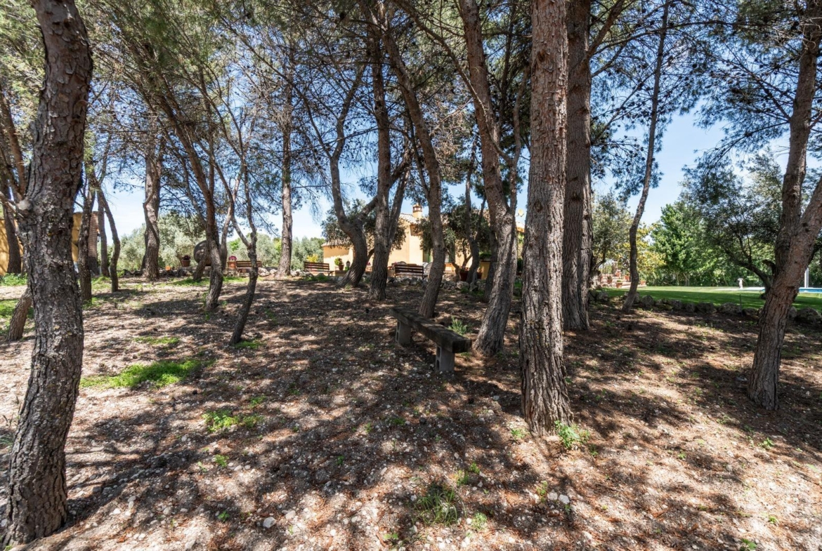 ^^ EN VENTA EXCLUSIVA – IMPRESIONANTE FINCA DE 4 HECTÁREAS EN VALGRANDE, CHINCHÓN ^**^  Ponemos a la