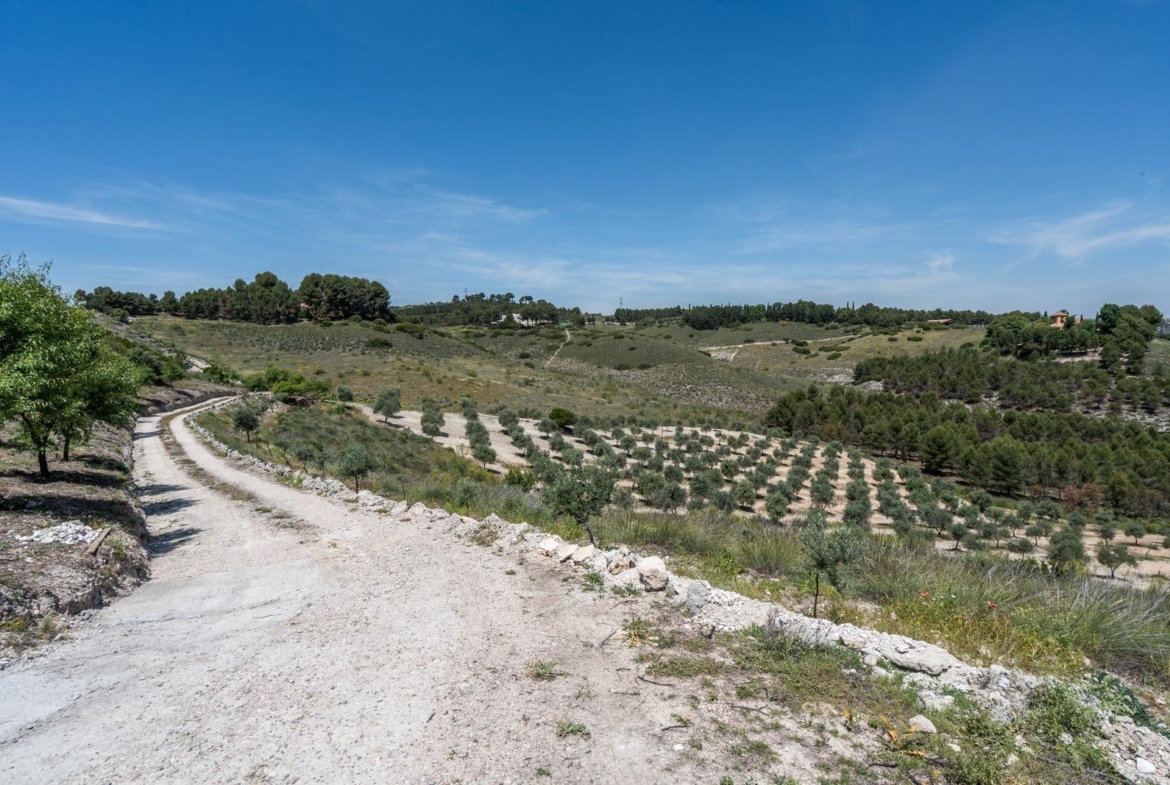 ^^ EN VENTA EXCLUSIVA – IMPRESIONANTE FINCA DE 4 HECTÁREAS EN VALGRANDE, CHINCHÓN ^**^  Ponemos a la