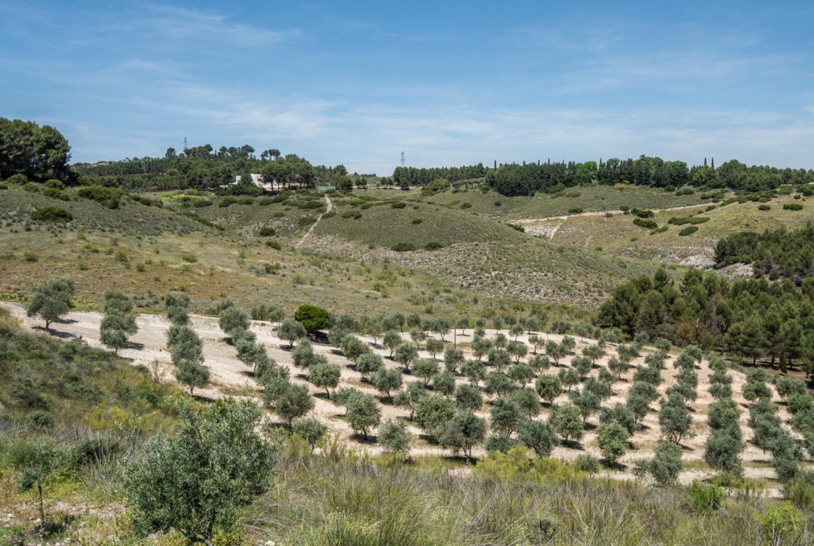 ^^ EN VENTA EXCLUSIVA – IMPRESIONANTE FINCA DE 4 HECTÁREAS EN VALGRANDE, CHINCHÓN ^**^  Ponemos a la