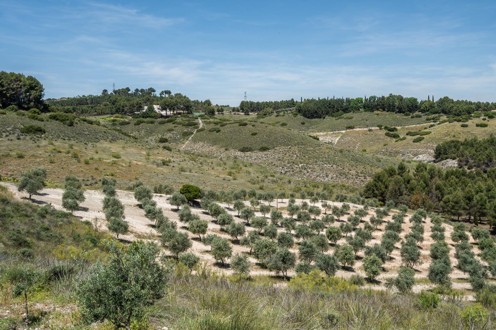 ^^ EN VENTA EXCLUSIVA – IMPRESIONANTE FINCA DE 4 HECTÁREAS EN VALGRANDE, CHINCHÓN ^**^  Ponemos a la