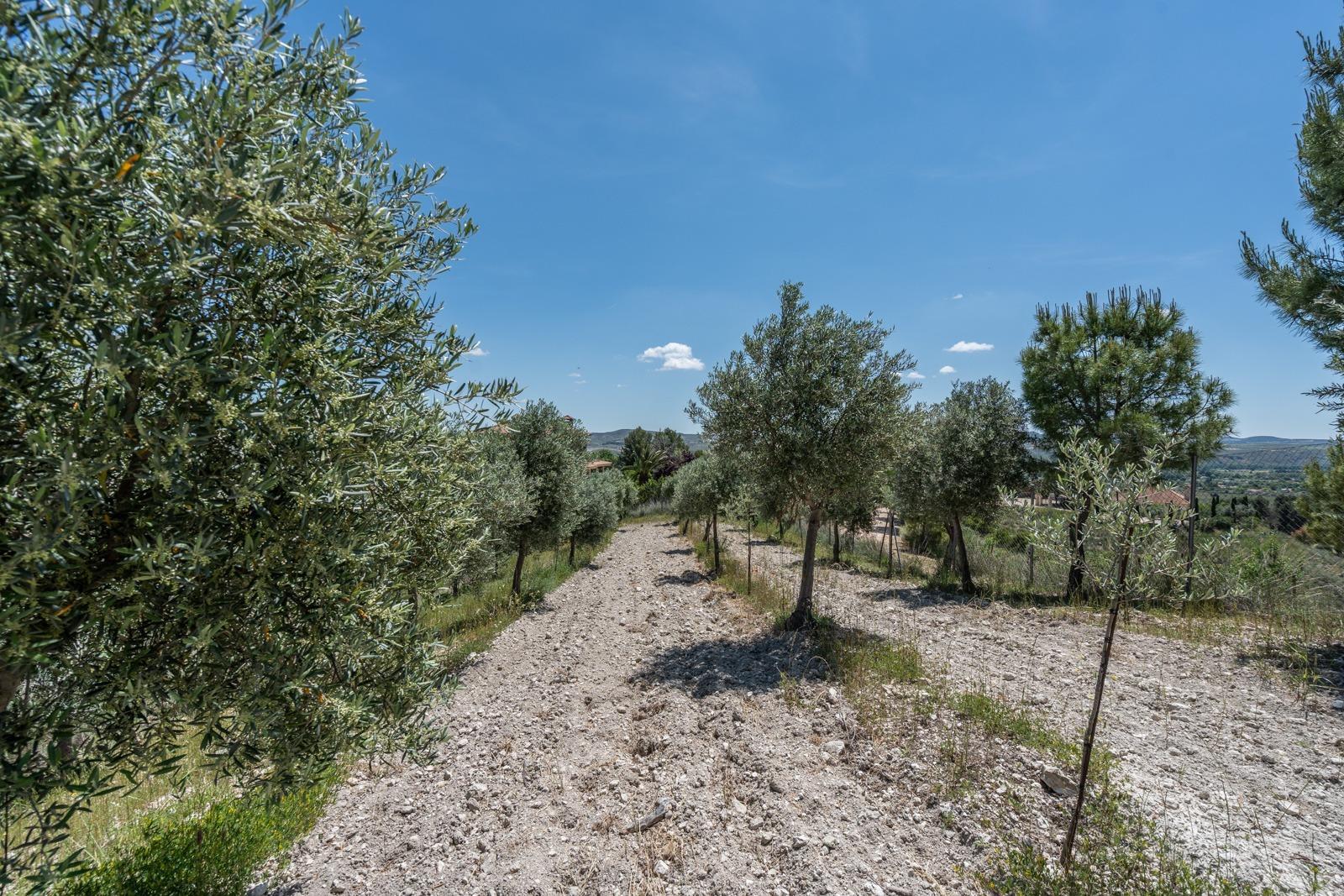^^ EN VENTA EXCLUSIVA – IMPRESIONANTE FINCA DE 4 HECTÁREAS EN VALGRANDE, CHINCHÓN ^**^  Ponemos a la