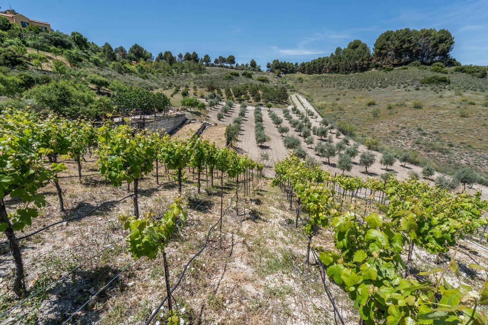 ^^ EN VENTA EXCLUSIVA – IMPRESIONANTE FINCA DE 4 HECTÁREAS EN VALGRANDE, CHINCHÓN ^**^  Ponemos a la