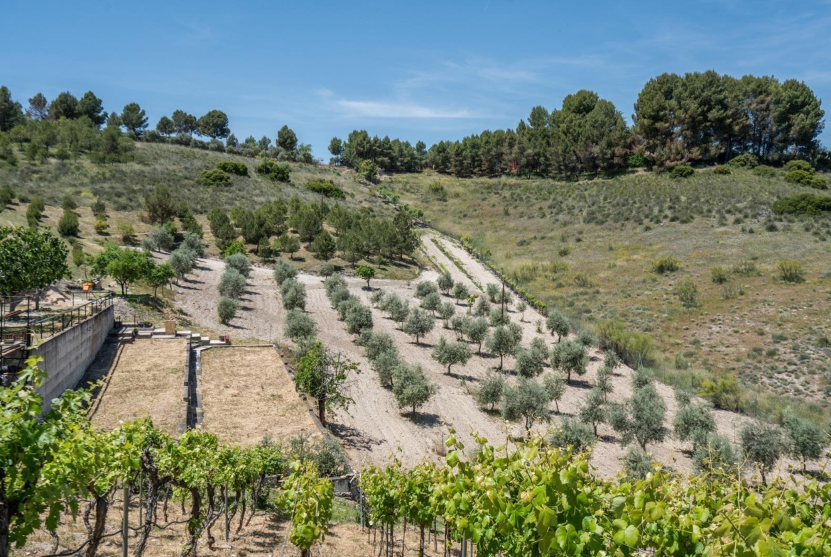 ^^ EN VENTA EXCLUSIVA – IMPRESIONANTE FINCA DE 4 HECTÁREAS EN VALGRANDE, CHINCHÓN ^**^  Ponemos a la