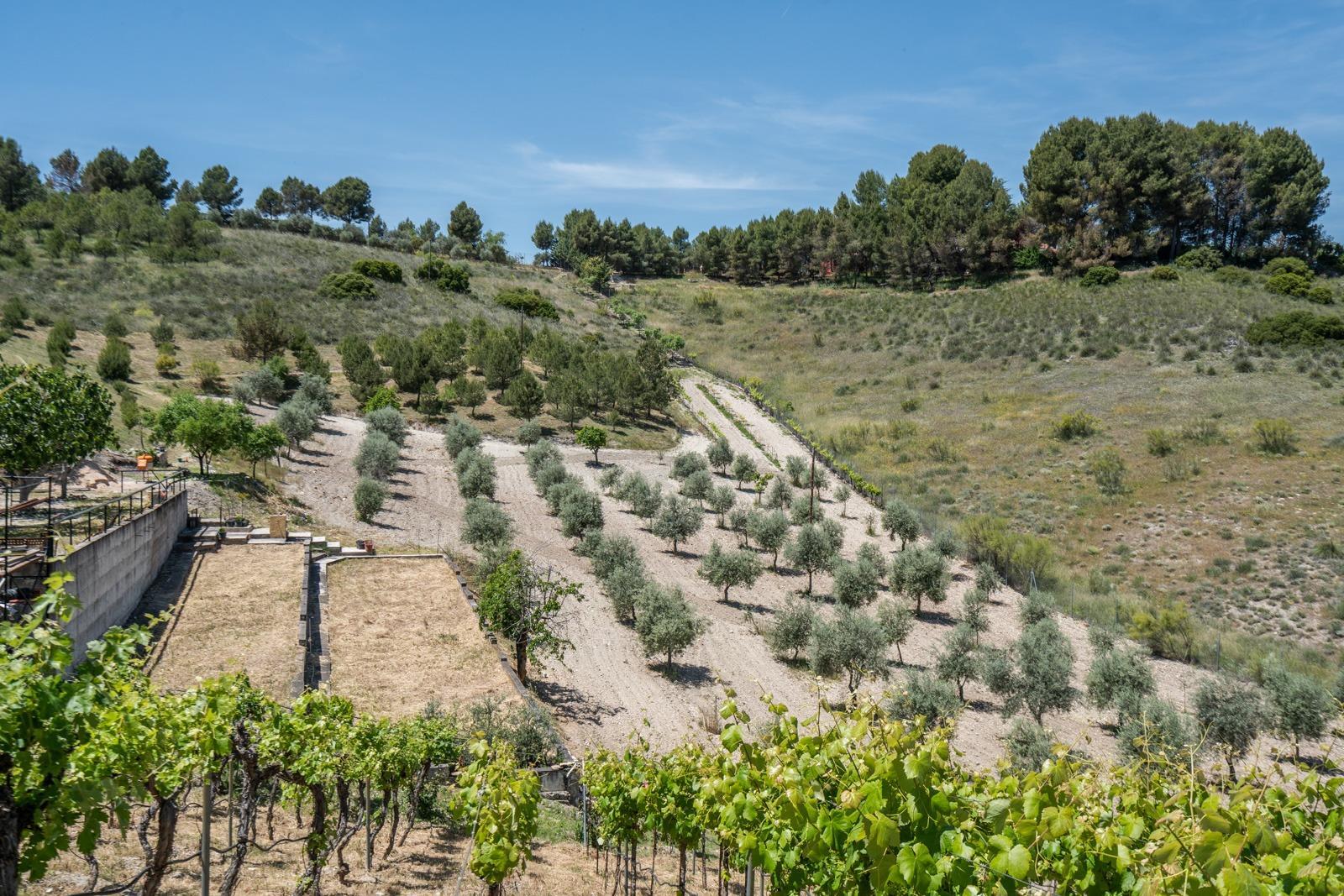 ^^ EN VENTA EXCLUSIVA – IMPRESIONANTE FINCA DE 4 HECTÁREAS EN VALGRANDE, CHINCHÓN ^**^  Ponemos a la