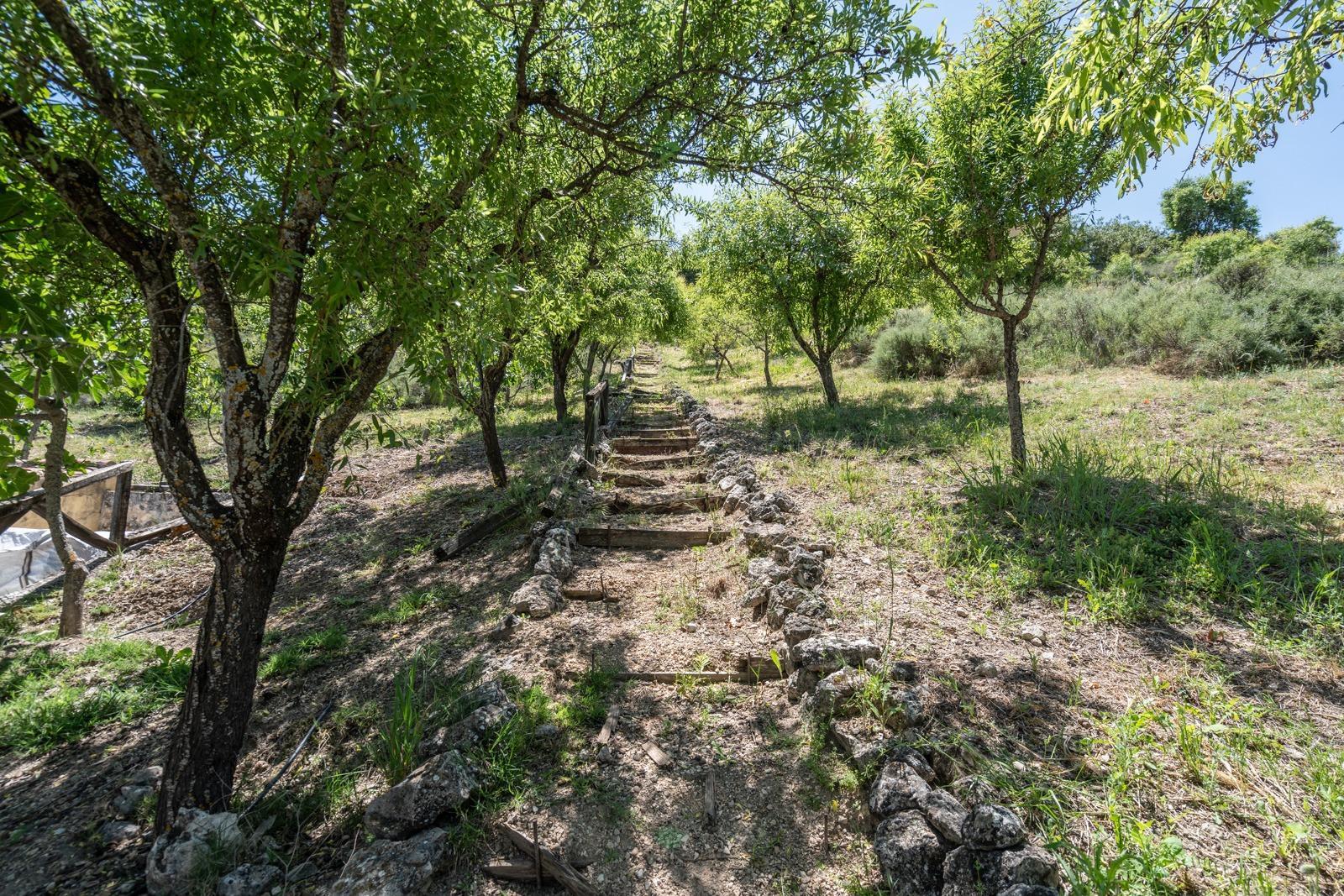 ^^ EN VENTA EXCLUSIVA – IMPRESIONANTE FINCA DE 4 HECTÁREAS EN VALGRANDE, CHINCHÓN ^**^  Ponemos a la