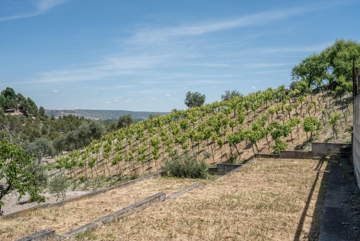^^ EN VENTA EXCLUSIVA – IMPRESIONANTE FINCA DE 4 HECTÁREAS EN VALGRANDE, CHINCHÓN ^**^  Ponemos a la