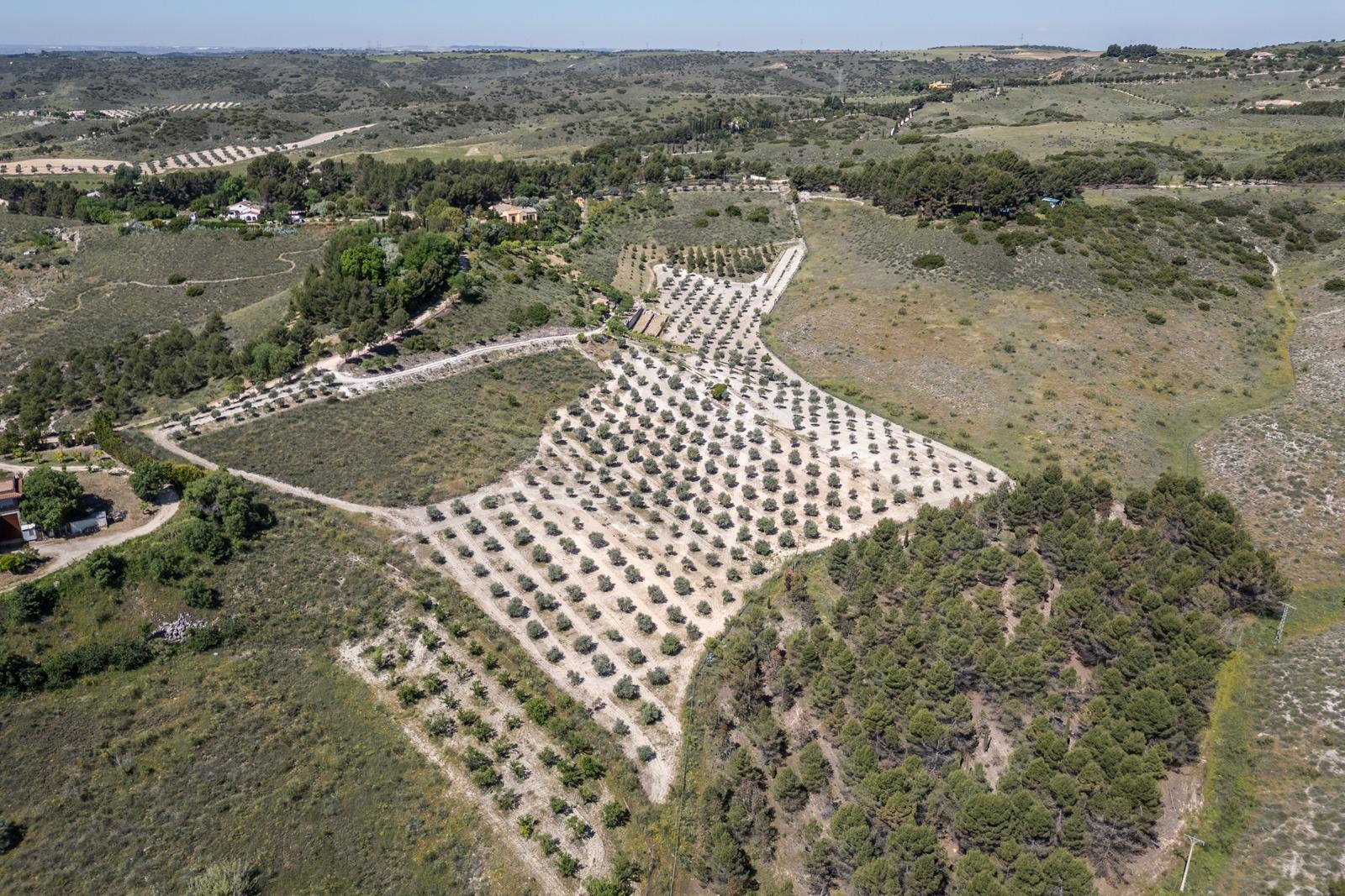 ^^ EN VENTA EXCLUSIVA – IMPRESIONANTE FINCA DE 4 HECTÁREAS EN VALGRANDE, CHINCHÓN ^**^  Ponemos a la