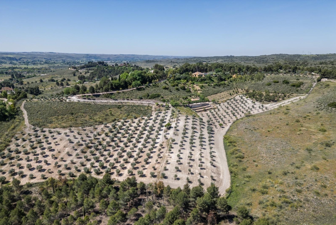 ^^ EN VENTA EXCLUSIVA – IMPRESIONANTE FINCA DE 4 HECTÁREAS EN VALGRANDE, CHINCHÓN ^**^  Ponemos a la