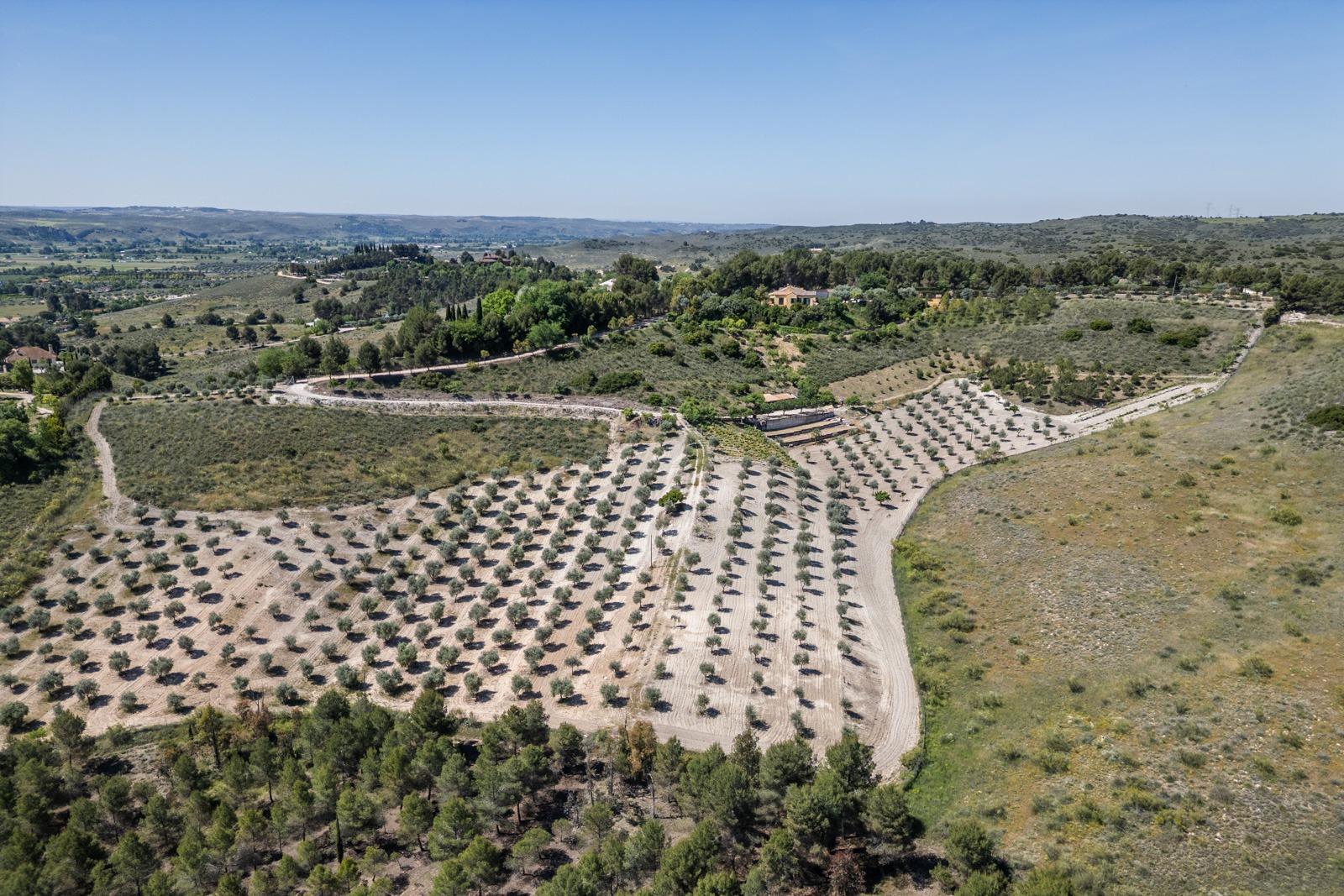 ^^ EN VENTA EXCLUSIVA – IMPRESIONANTE FINCA DE 4 HECTÁREAS EN VALGRANDE, CHINCHÓN ^**^  Ponemos a la