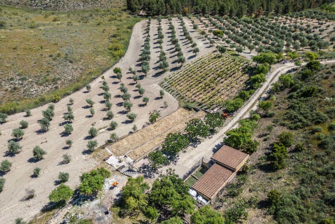 ^^ EN VENTA EXCLUSIVA – IMPRESIONANTE FINCA DE 4 HECTÁREAS EN VALGRANDE, CHINCHÓN ^**^  Ponemos a la