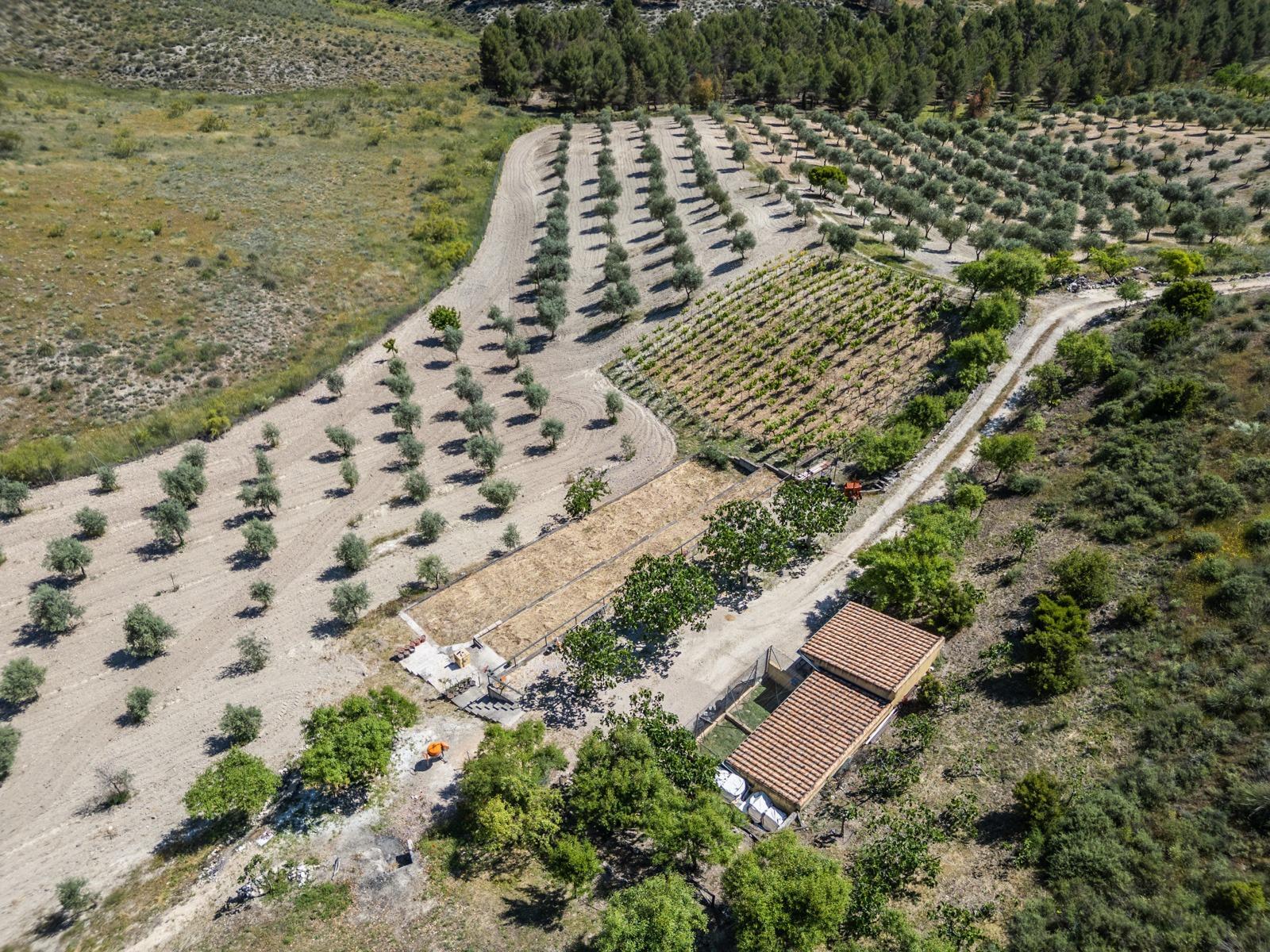 ^^ EN VENTA EXCLUSIVA – IMPRESIONANTE FINCA DE 4 HECTÁREAS EN VALGRANDE, CHINCHÓN ^**^  Ponemos a la