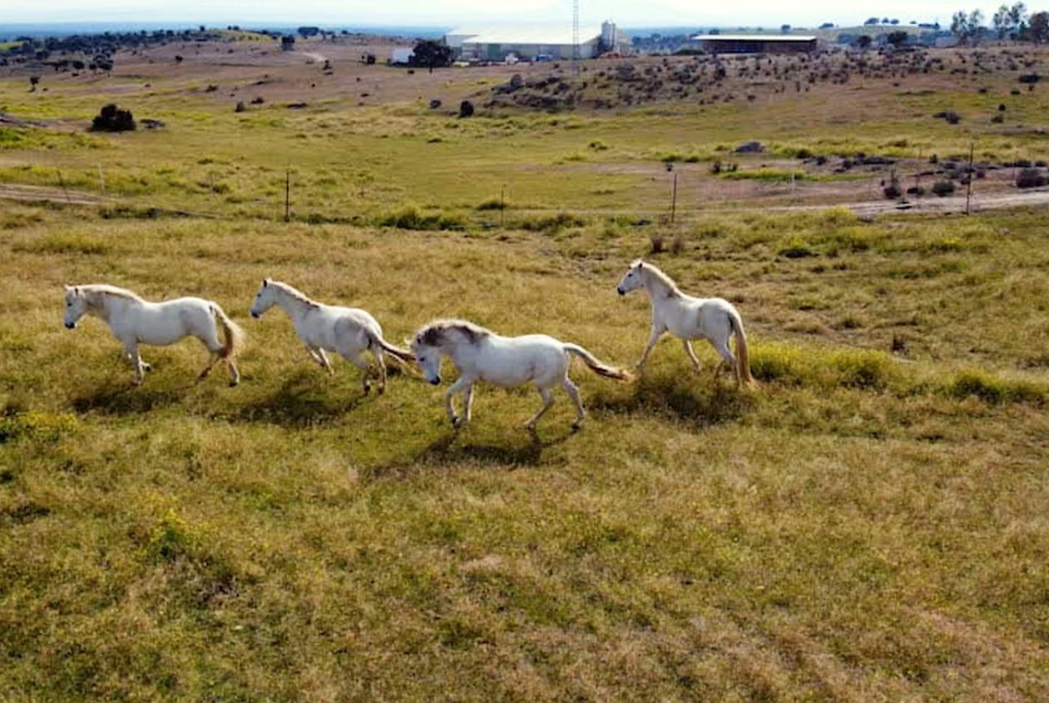 Rustico en alquiler, El Puente Del Arzobispo