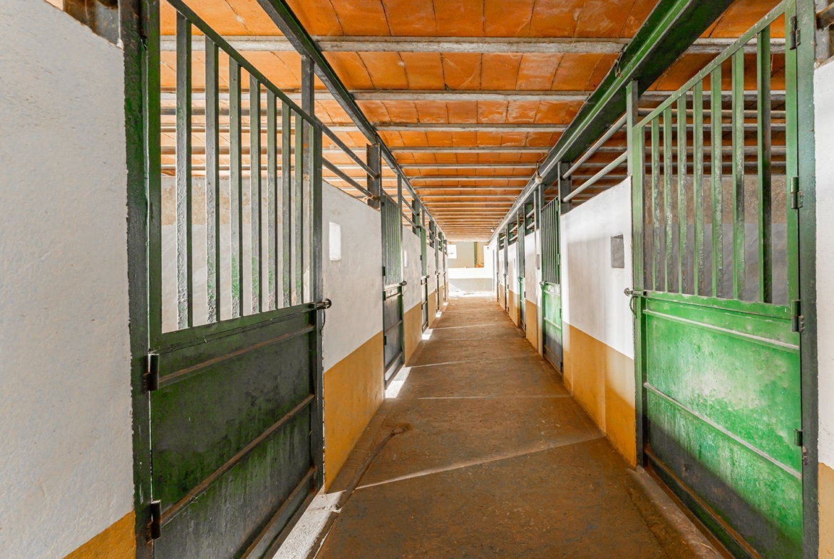 Rustico en alquiler, El Puente Del Arzobispo