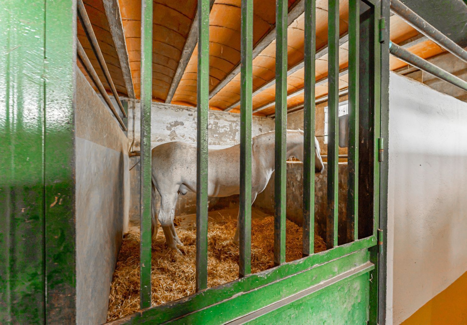 44-33 Rustico en alquiler, El Puente Del Arzobispo
