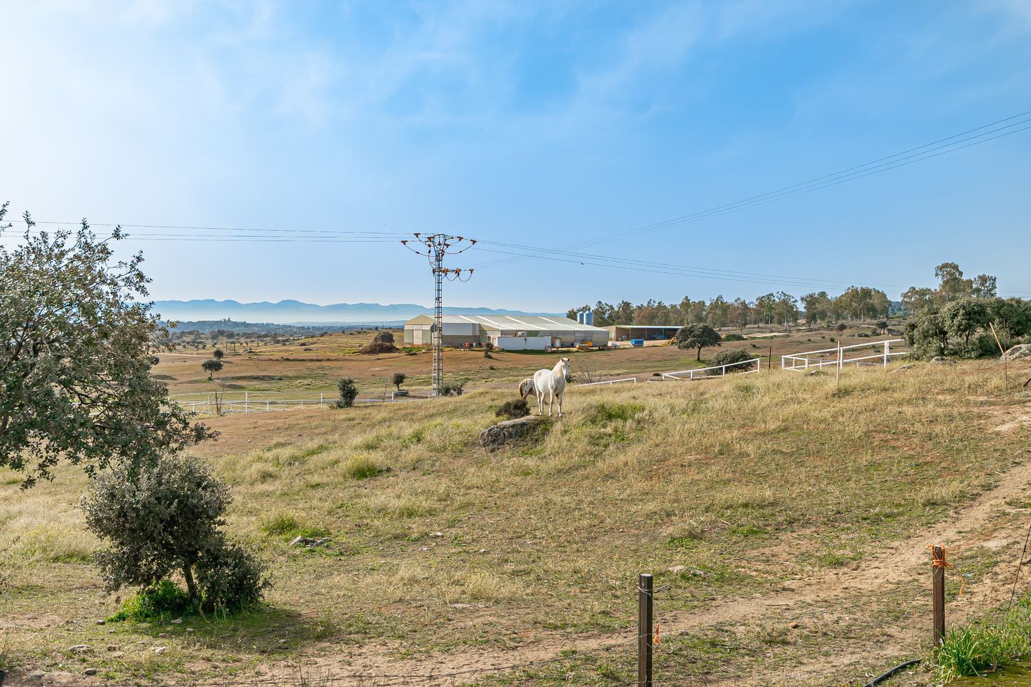 44-8 Rustico en alquiler, El Puente Del Arzobispo
