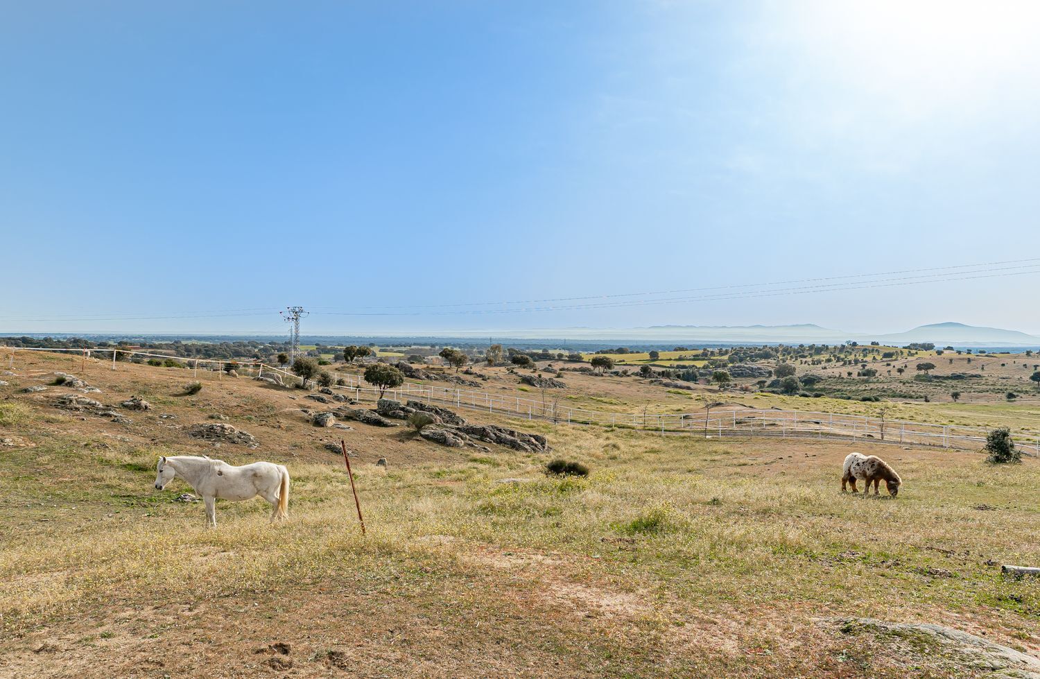 44-9 Rustico en alquiler, El Puente Del Arzobispo