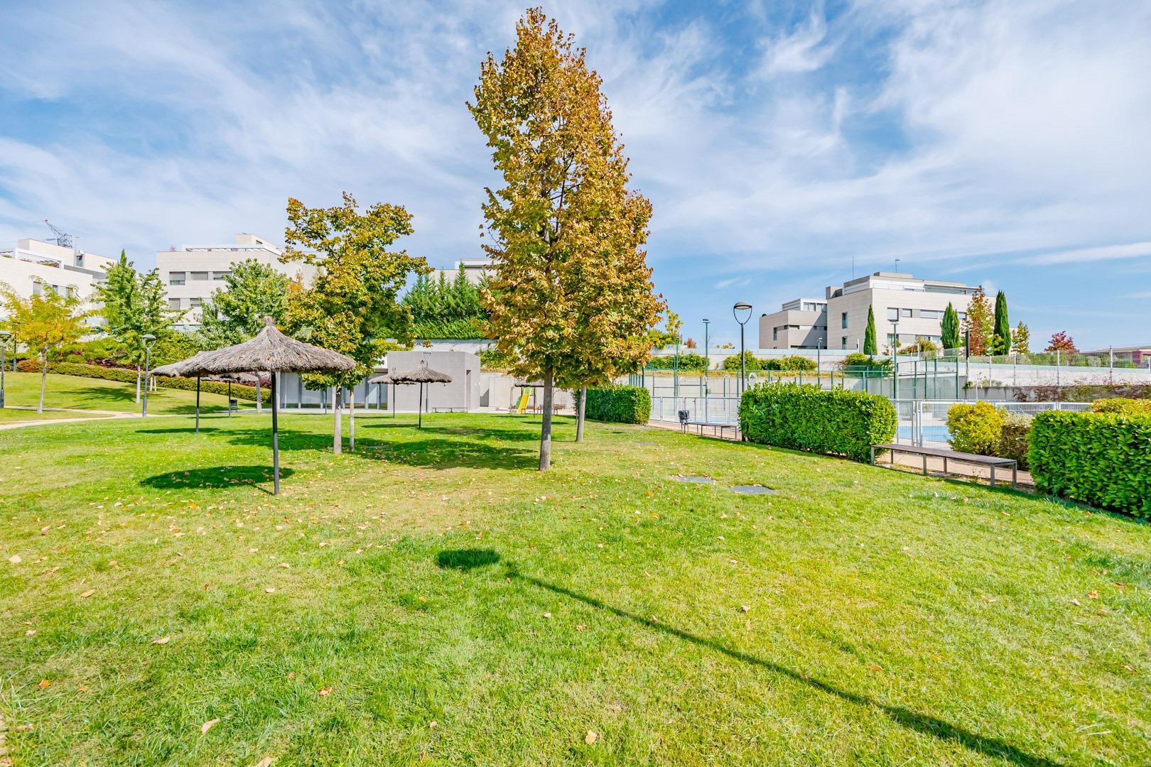 86-63