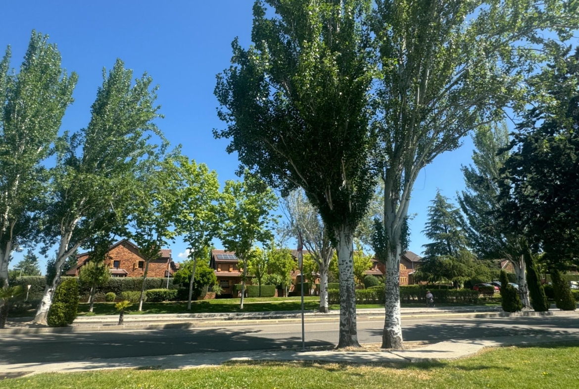 ^**^LOCAL EN ESQUINA CON TERRAZA EN RENTABILIDAD BRUTA DE 9.5%: ¡EL LUGAR IDEAL PARA TU NEGOCIO EN LAS ROZAS^**^ Presentamos un local comercial en una ubicación estratégica, situado en una de las e