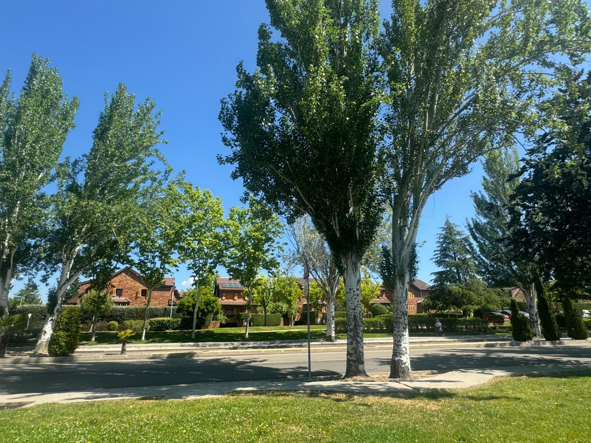 ^**^LOCAL EN ESQUINA CON TERRAZA EN RENTABILIDAD BRUTA DE 9.5%: ¡EL LUGAR IDEAL PARA TU NEGOCIO EN LAS ROZAS^**^ Presentamos un local comercial en una ubicación estratégica, situado en una de las e