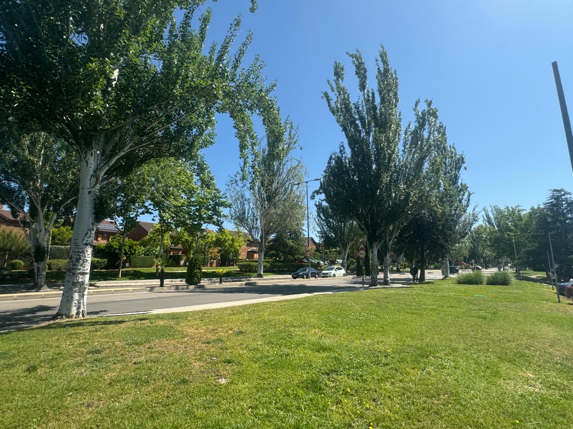 ^**^LOCAL EN ESQUINA CON TERRAZA EN RENTABILIDAD BRUTA DE 9.5%: ¡EL LUGAR IDEAL PARA TU NEGOCIO EN LAS ROZAS^**^ Presentamos un local comercial en una ubicación estratégica, situado en una de las e
