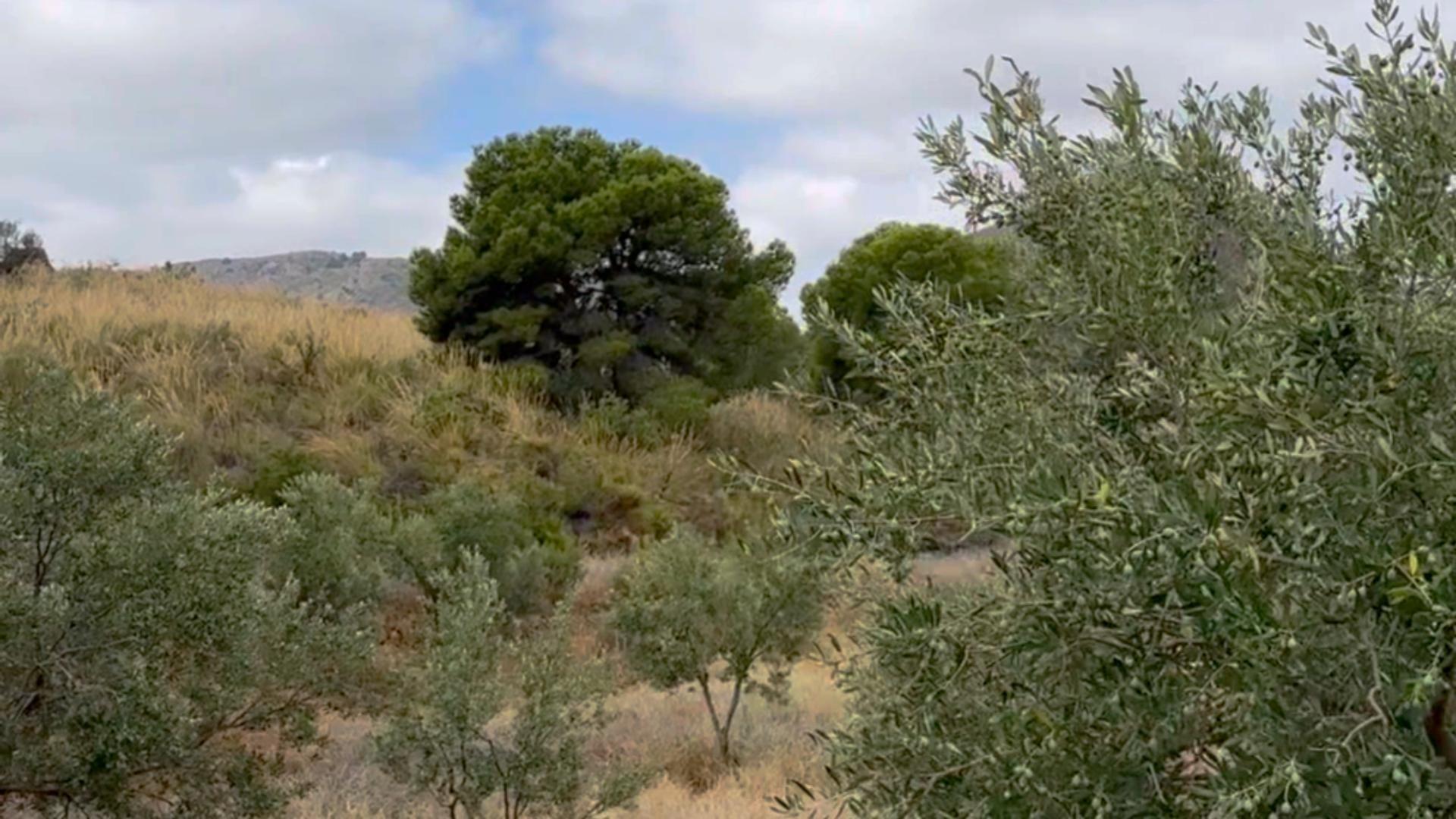 ^**^FINCA RÚSTICA DE MÁS DE 2.500.000 M² CON POSIBILIDAD DE RECONSTRUCCIÓN DE VIVIENDAS DE MÁS DE 600 M² EXISTENTES, ENTRE LORCA Y ÁGUILAS, MURCIA. VISTAS AL MAR^**^ .