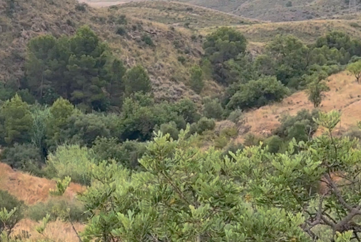 ^**^FINCA RÚSTICA DE MÁS DE 2.500.000 M² CON POSIBILIDAD DE RECONSTRUCCIÓN DE VIVIENDAS DE MÁS DE 600 M² EXISTENTES, ENTRE LORCA Y ÁGUILAS, MURCIA. VISTAS AL MAR^**^ .