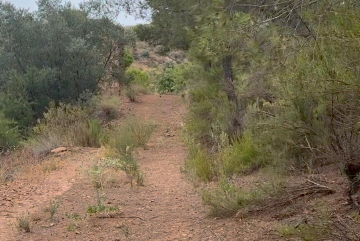 ^**^FINCA RÚSTICA DE MÁS DE 2.500.000 M² CON POSIBILIDAD DE RECONSTRUCCIÓN DE VIVIENDAS DE MÁS DE 600 M² EXISTENTES, ENTRE LORCA Y ÁGUILAS, MURCIA. VISTAS AL MAR^**^ .