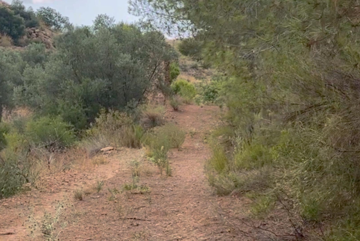 ^**^FINCA RÚSTICA DE MÁS DE 2.500.000 M² CON POSIBILIDAD DE RECONSTRUCCIÓN DE VIVIENDAS DE MÁS DE 600 M² EXISTENTES, ENTRE LORCA Y ÁGUILAS, MURCIA. VISTAS AL MAR^**^ .
