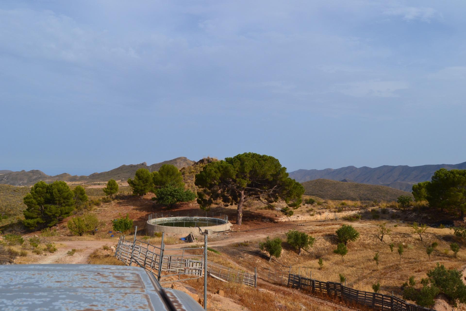 18-1 ^^FINCA RÚSTICA DE MÁS DE 2.500.000 M² EN ALQUILER CON OPCIÓN A COMPRA, CON POSIBILIDAD DE RECONSTRUCCIÓN DE VIVIENDAS DE MÁS DE 600 M², ENTRE LORCA Y ÁGUILAS, MURCIA. VISTAS AL MAR^^ Se ofrec