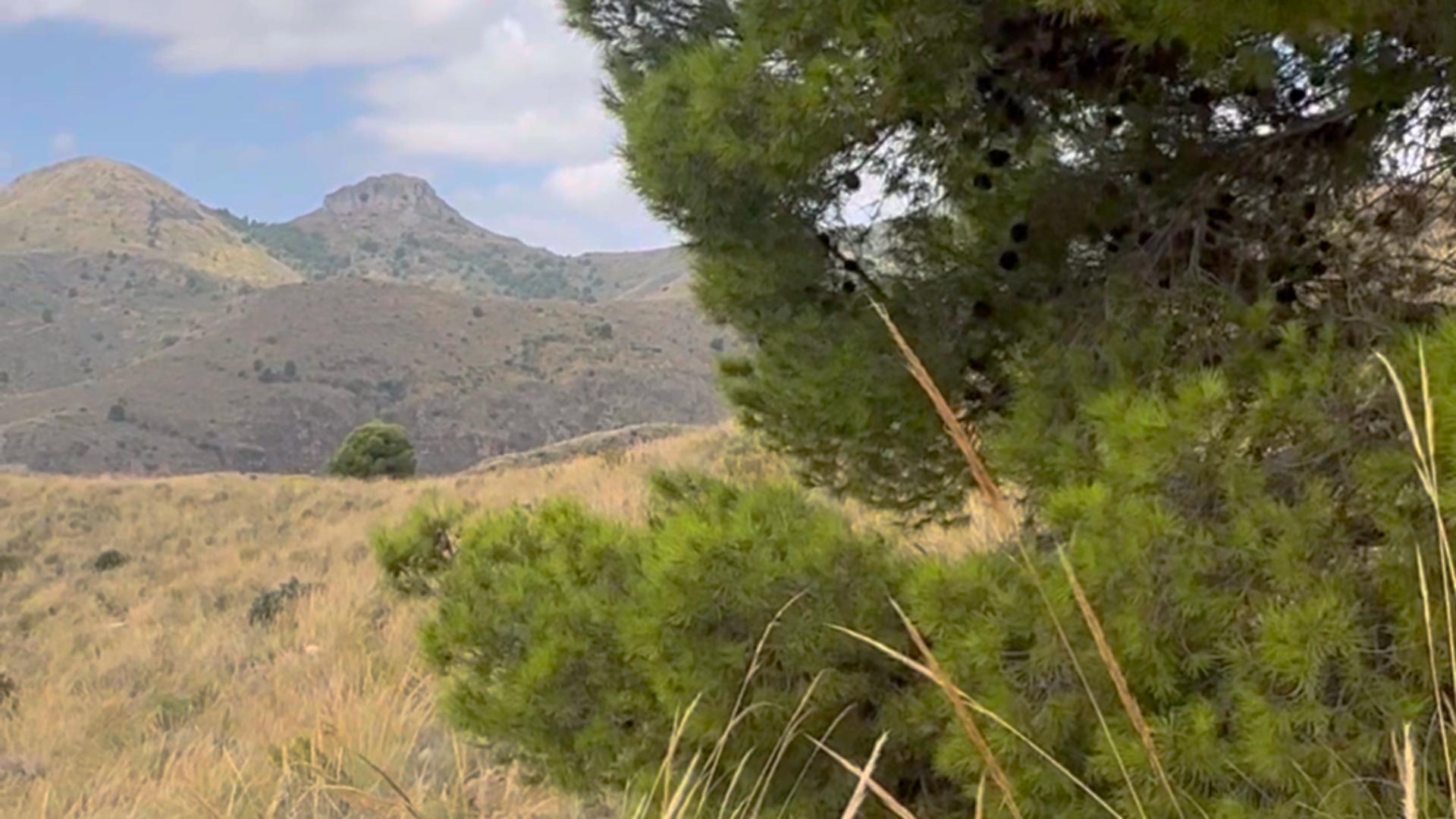 18-11 ^^FINCA RÚSTICA DE MÁS DE 2.500.000 M² EN ALQUILER CON OPCIÓN A COMPRA, CON POSIBILIDAD DE RECONSTRUCCIÓN DE VIVIENDAS DE MÁS DE 600 M², ENTRE LORCA Y ÁGUILAS, MURCIA. VISTAS AL MAR^^ Se ofrec