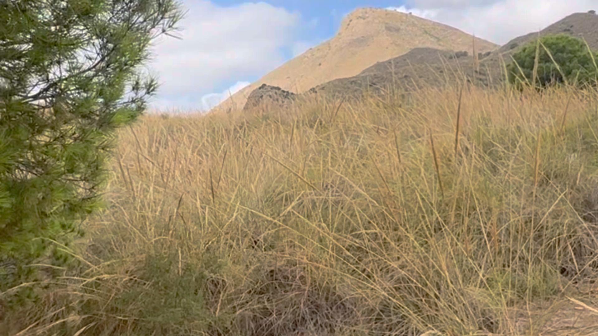 18-12 ^^FINCA RÚSTICA DE MÁS DE 2.500.000 M² EN ALQUILER CON OPCIÓN A COMPRA, CON POSIBILIDAD DE RECONSTRUCCIÓN DE VIVIENDAS DE MÁS DE 600 M², ENTRE LORCA Y ÁGUILAS, MURCIA. VISTAS AL MAR^^ Se ofrec