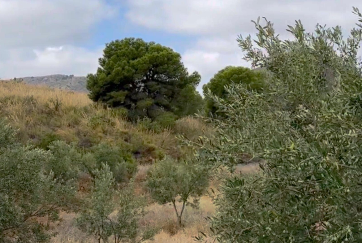 ^^FINCA RÚSTICA DE MÁS DE 2.500.000 M² EN ALQUILER CON OPCIÓN A COMPRA, CON POSIBILIDAD DE RECONSTRUCCIÓN DE VIVIENDAS DE MÁS DE 600 M², ENTRE LORCA Y ÁGUILAS, MURCIA. VISTAS AL MAR^^ Se ofrec