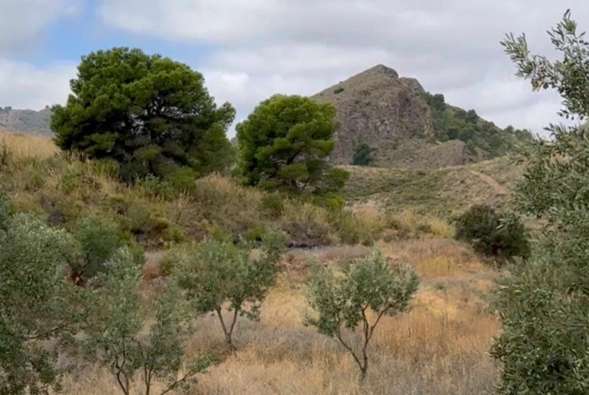 ^^FINCA RÚSTICA DE MÁS DE 2.500.000 M² EN ALQUILER CON OPCIÓN A COMPRA, CON POSIBILIDAD DE RECONSTRUCCIÓN DE VIVIENDAS DE MÁS DE 600 M², ENTRE LORCA Y ÁGUILAS, MURCIA. VISTAS AL MAR^^ Se ofrec