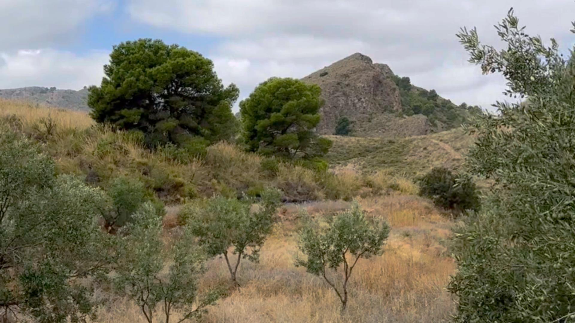 18-17 ^^FINCA RÚSTICA DE MÁS DE 2.500.000 M² EN ALQUILER CON OPCIÓN A COMPRA, CON POSIBILIDAD DE RECONSTRUCCIÓN DE VIVIENDAS DE MÁS DE 600 M², ENTRE LORCA Y ÁGUILAS, MURCIA. VISTAS AL MAR^^ Se ofrec