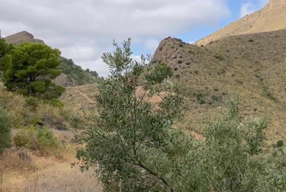 ^^FINCA RÚSTICA DE MÁS DE 2.500.000 M² EN ALQUILER CON OPCIÓN A COMPRA, CON POSIBILIDAD DE RECONSTRUCCIÓN DE VIVIENDAS DE MÁS DE 600 M², ENTRE LORCA Y ÁGUILAS, MURCIA. VISTAS AL MAR^^ Se ofrec