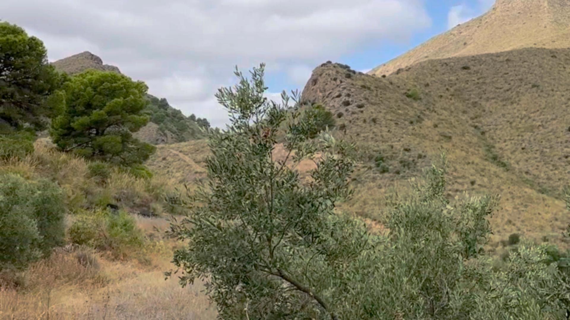 18-19 ^^FINCA RÚSTICA DE MÁS DE 2.500.000 M² EN ALQUILER CON OPCIÓN A COMPRA, CON POSIBILIDAD DE RECONSTRUCCIÓN DE VIVIENDAS DE MÁS DE 600 M², ENTRE LORCA Y ÁGUILAS, MURCIA. VISTAS AL MAR^^ Se ofrec