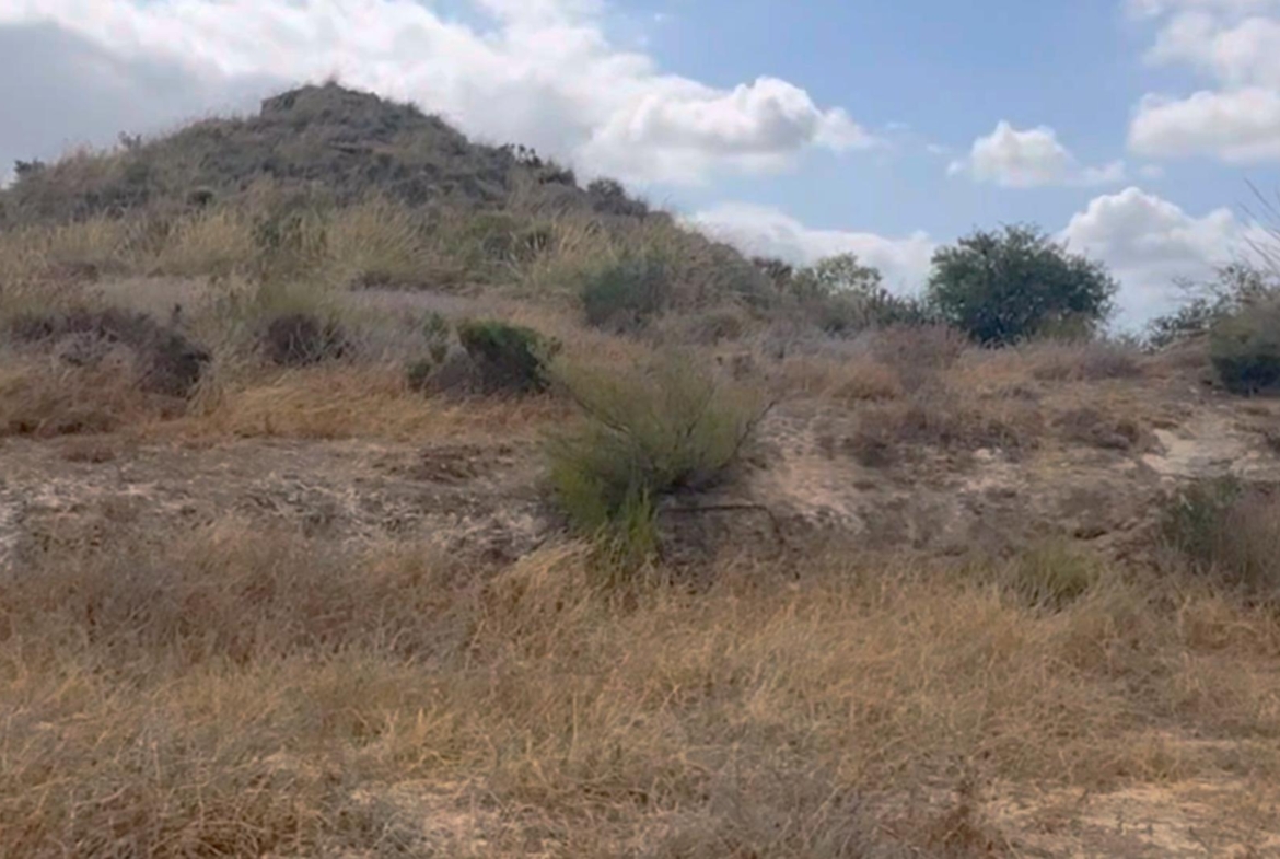 ^^FINCA RÚSTICA DE MÁS DE 2.500.000 M² EN ALQUILER CON OPCIÓN A COMPRA, CON POSIBILIDAD DE RECONSTRUCCIÓN DE VIVIENDAS DE MÁS DE 600 M², ENTRE LORCA Y ÁGUILAS, MURCIA. VISTAS AL MAR^^ Se ofrec