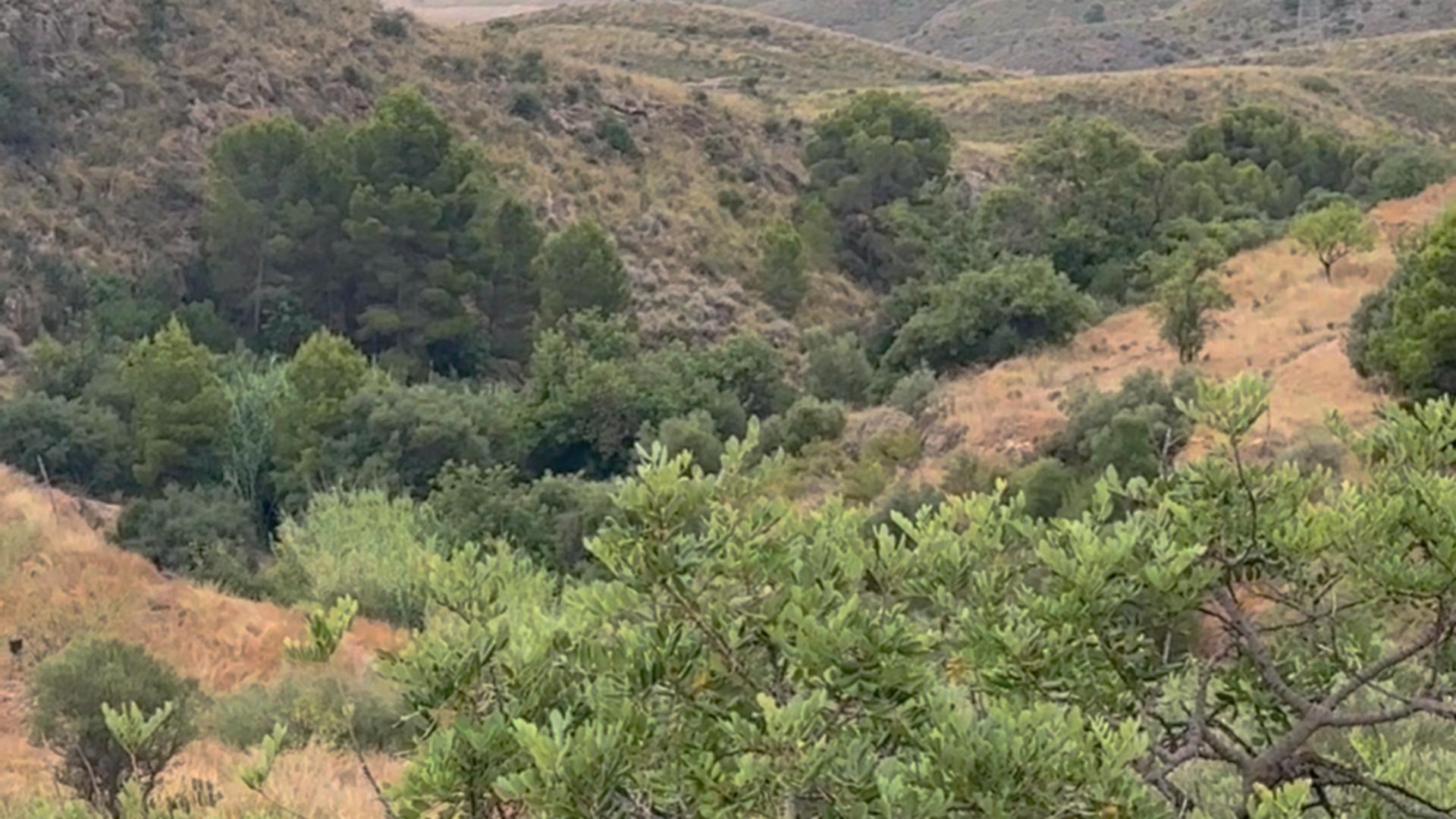 18-25 ^^FINCA RÚSTICA DE MÁS DE 2.500.000 M² EN ALQUILER CON OPCIÓN A COMPRA, CON POSIBILIDAD DE RECONSTRUCCIÓN DE VIVIENDAS DE MÁS DE 600 M², ENTRE LORCA Y ÁGUILAS, MURCIA. VISTAS AL MAR^^ Se ofrec