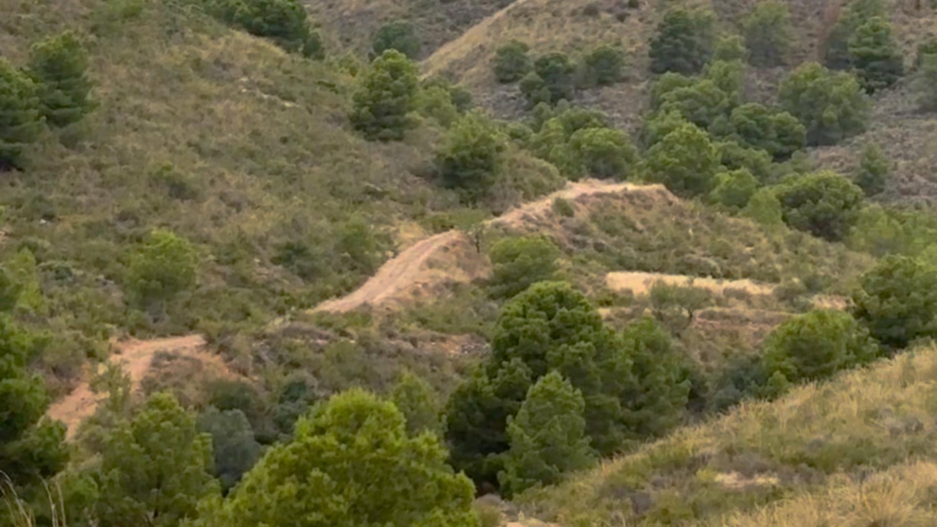 18-27 ^^FINCA RÚSTICA DE MÁS DE 2.500.000 M² EN ALQUILER CON OPCIÓN A COMPRA, CON POSIBILIDAD DE RECONSTRUCCIÓN DE VIVIENDAS DE MÁS DE 600 M², ENTRE LORCA Y ÁGUILAS, MURCIA. VISTAS AL MAR^^ Se ofrec
